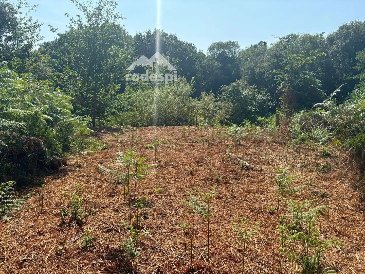 Houses for sale in Arbo
