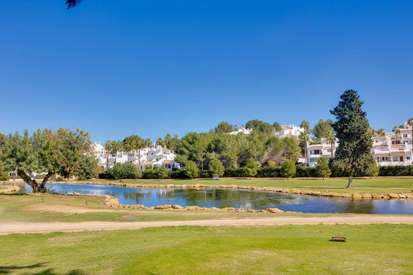 Mini appartamento con terrazza in affitto a Campo de Golf Lomas de Campoamor, imagen 80