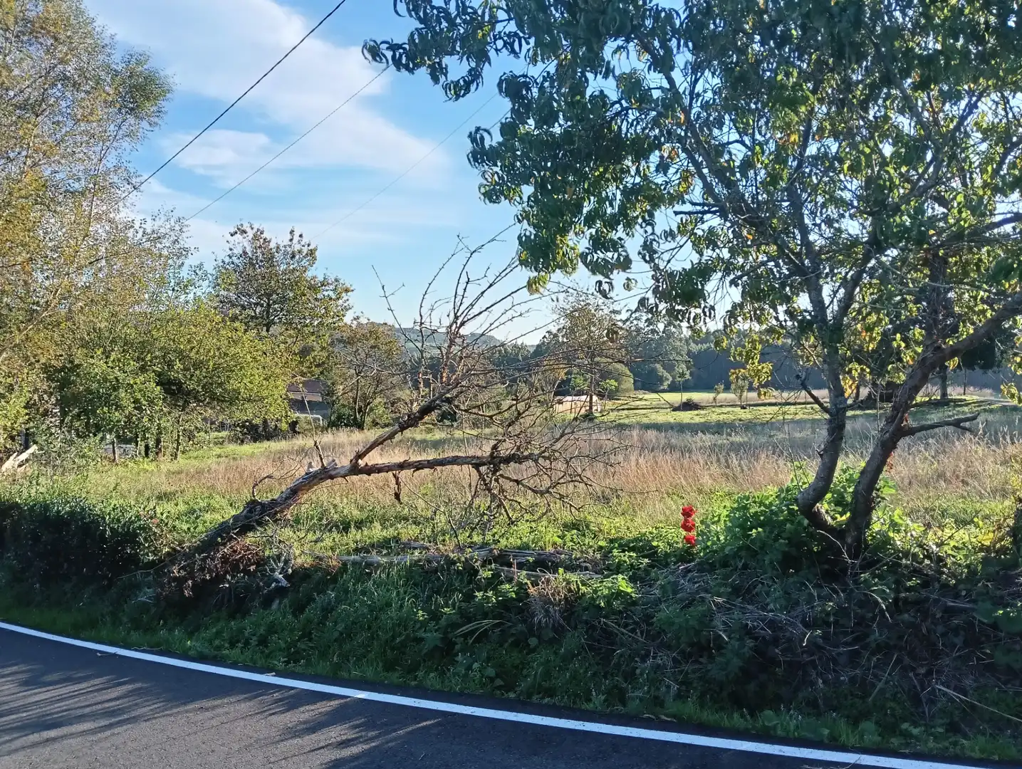 Terreno residenziale in vendita a Cesuras, imagen 6