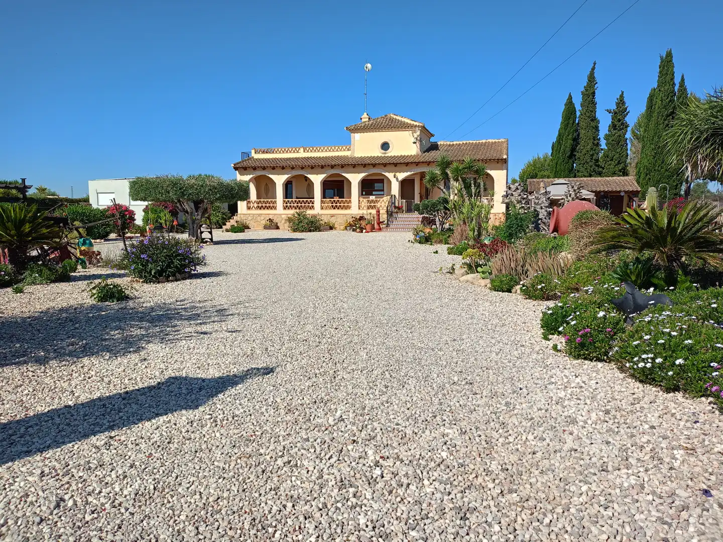 Vista exterior de Casa o chalet en venta en Jacarilla con Jardín privado, Terraza y Piscina