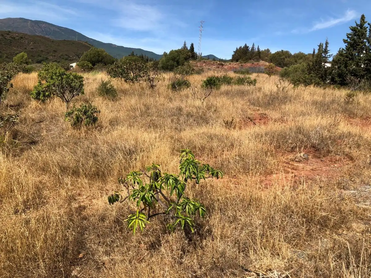 Casa rústica con jardín en venta en Punta Plata, imagen 12