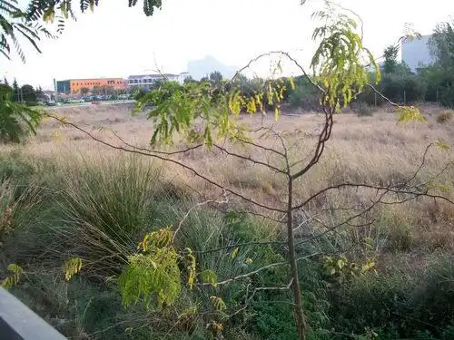 Lands and plots for sale in Poeta Muñoz Rojas, imagen 22