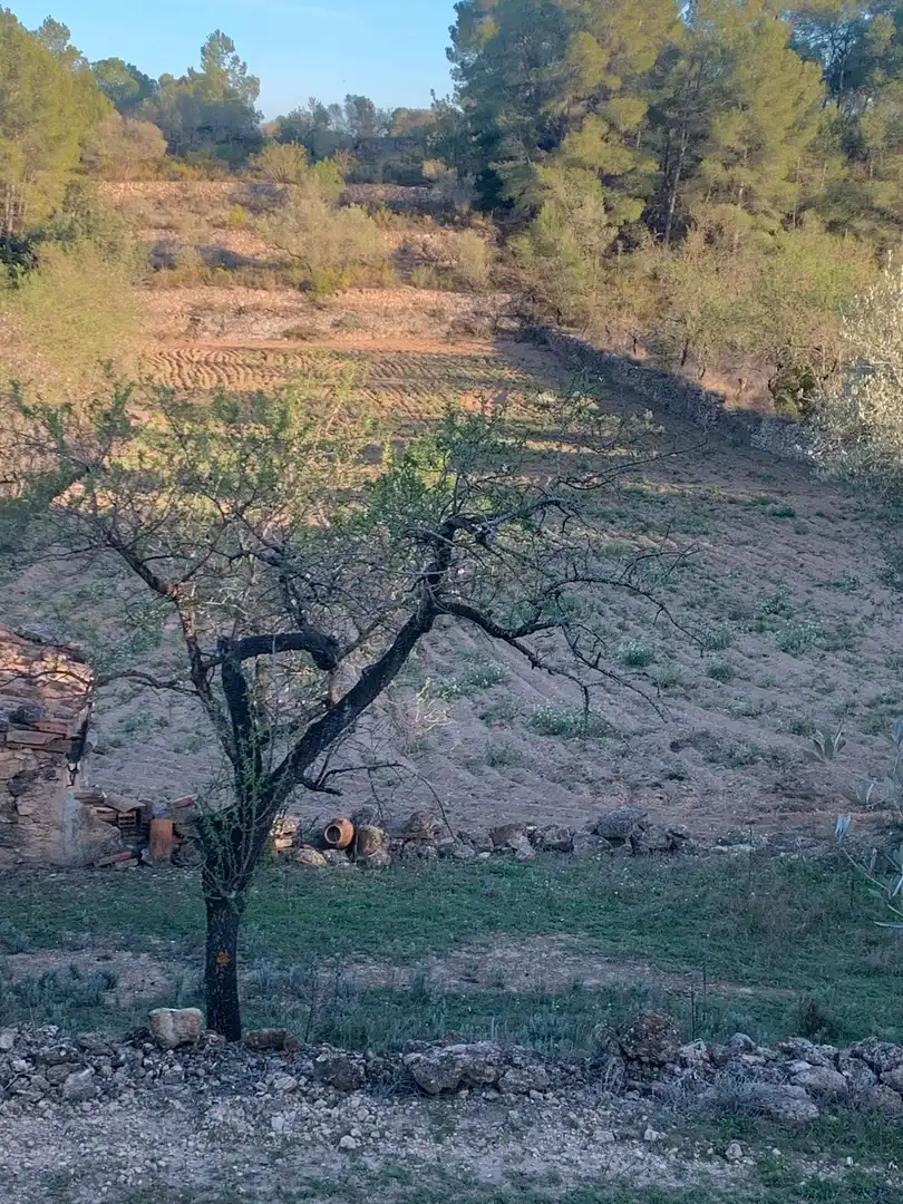 Terrain rustique à vendre à Avinguda Lluís Companys, imagen 6
