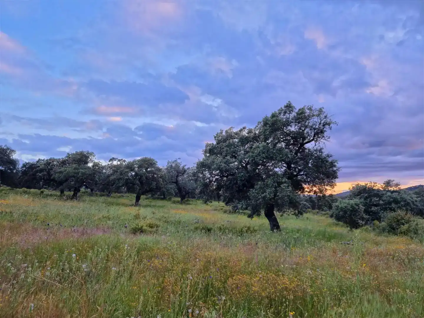 Country house zur Miete in Cortegana mit Privatgarten, Schwimmbad und Möbliert