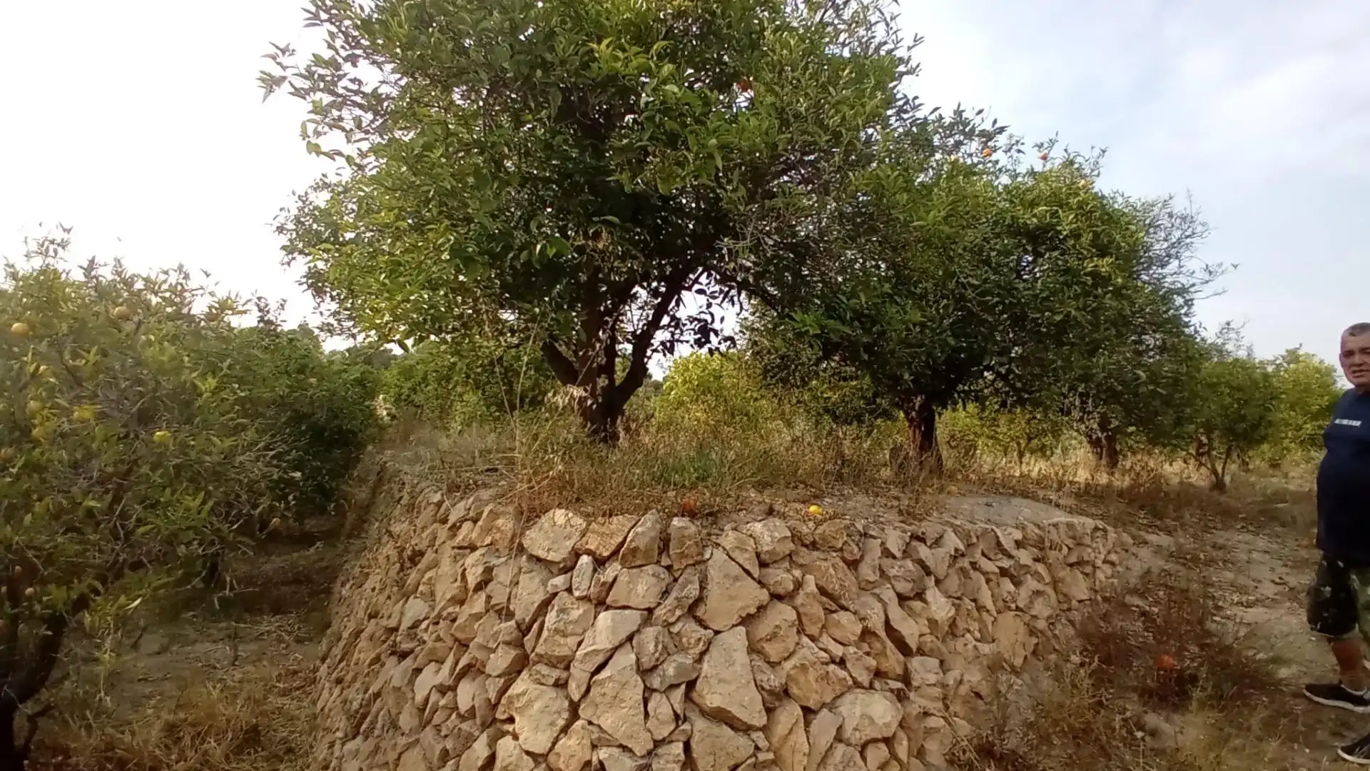 Rural land for sale in Altea ciudad, imagen 10