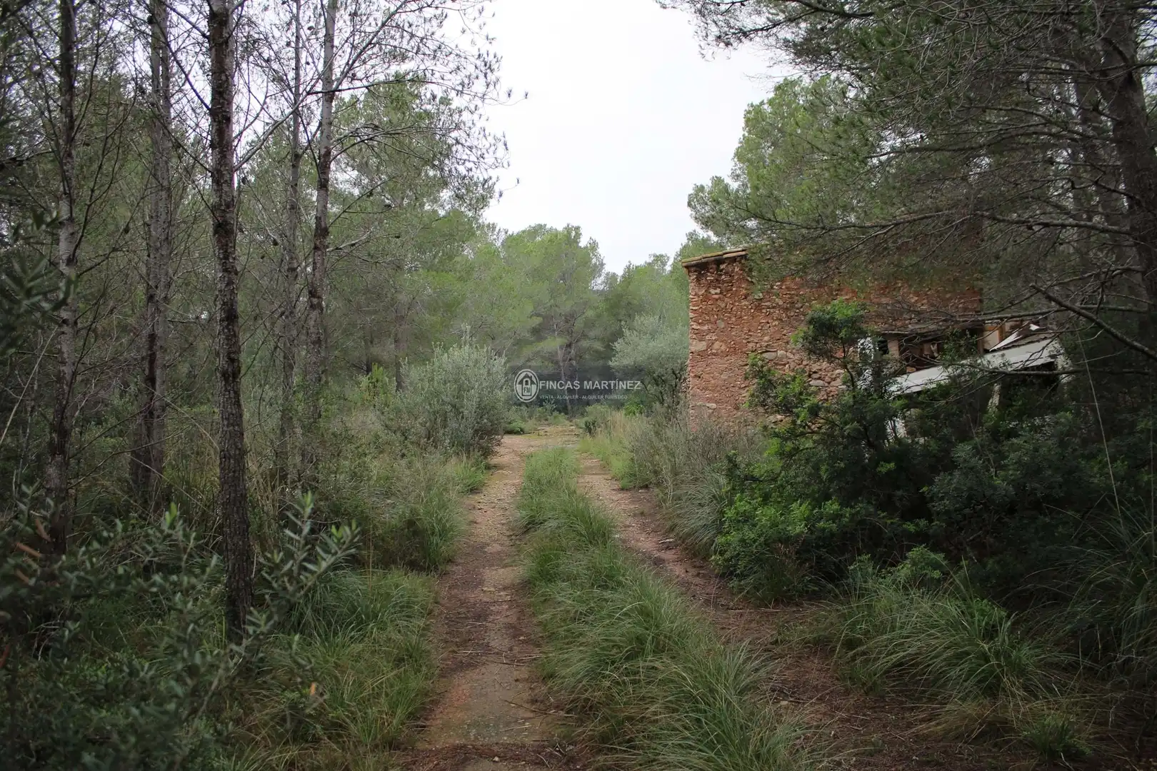 Terrenys i solars en venda a partida torres novas  lindante con el barranco porquerola y a poniente con el termino de pradit  es la parcela  del poligono