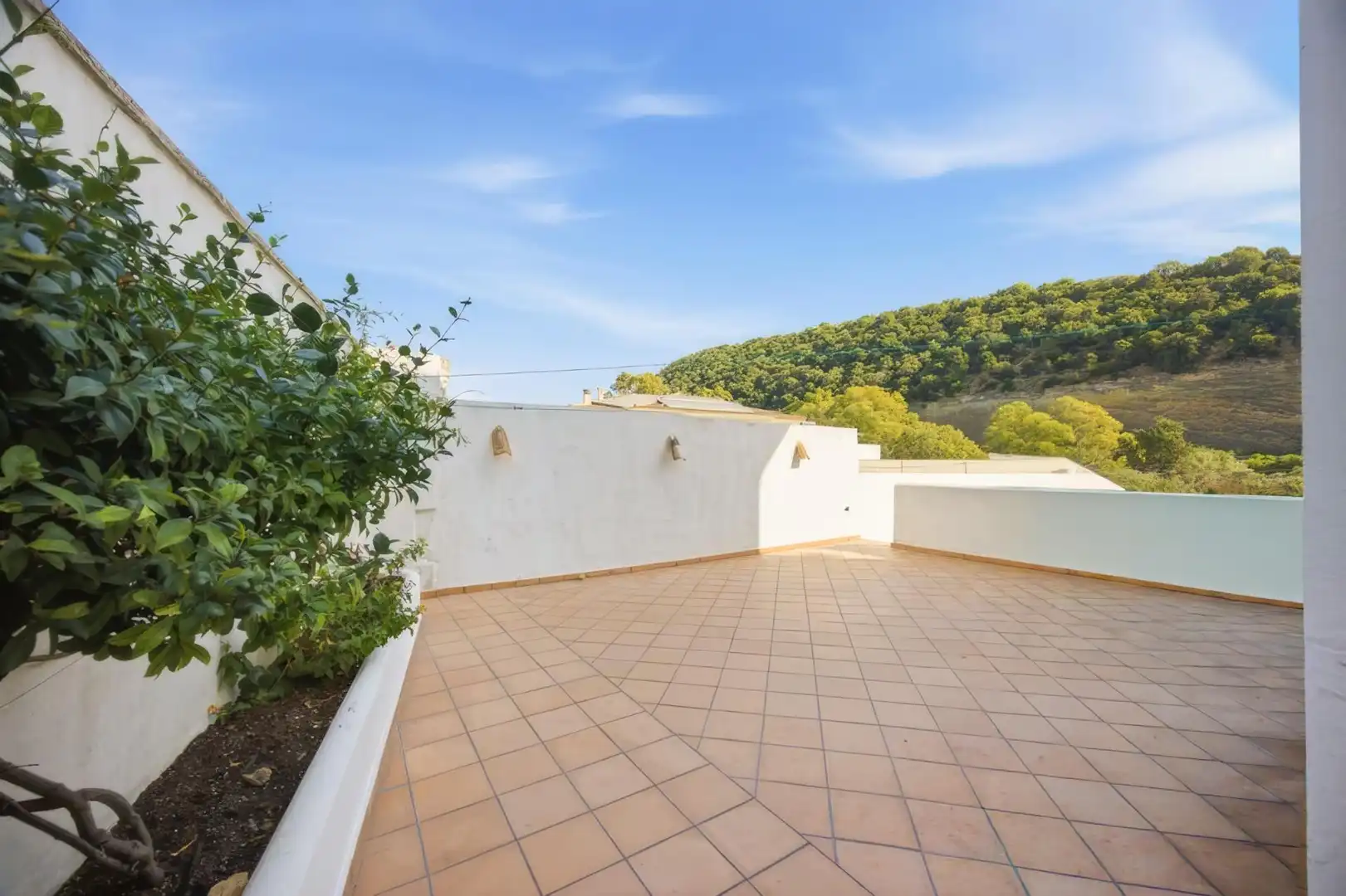 Terrasse von Haus oder Chalet zum Verkauf in Vejer de la Frontera mit Privatgarten, Terrasse und Möbliert