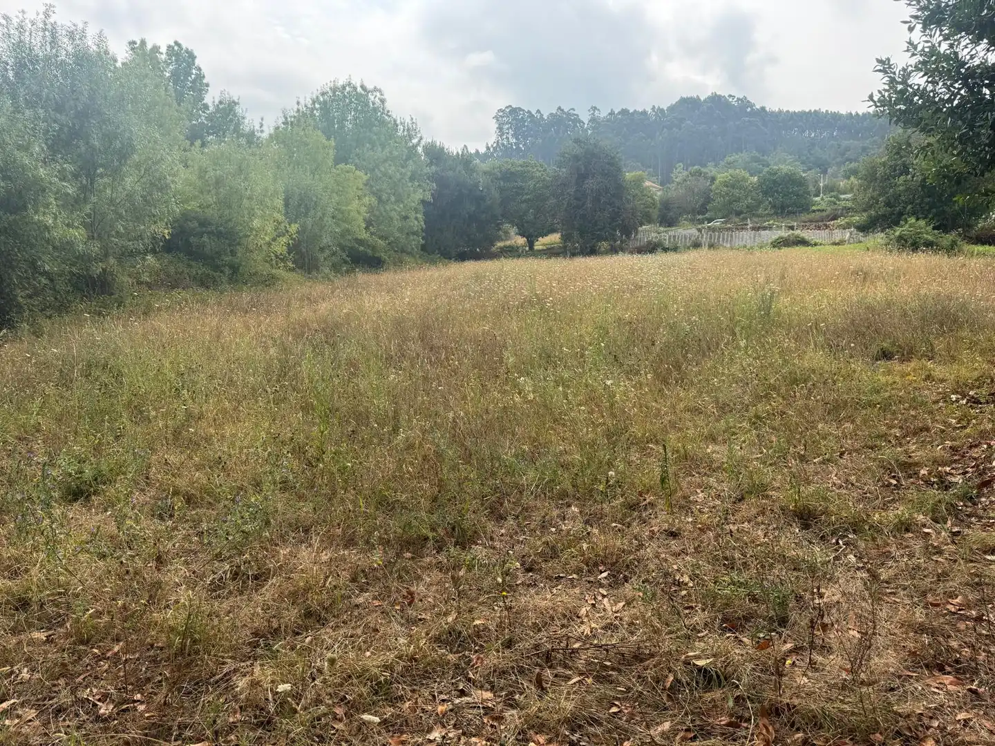 Terreny industrial en venda en Vilagarcía de Arousa