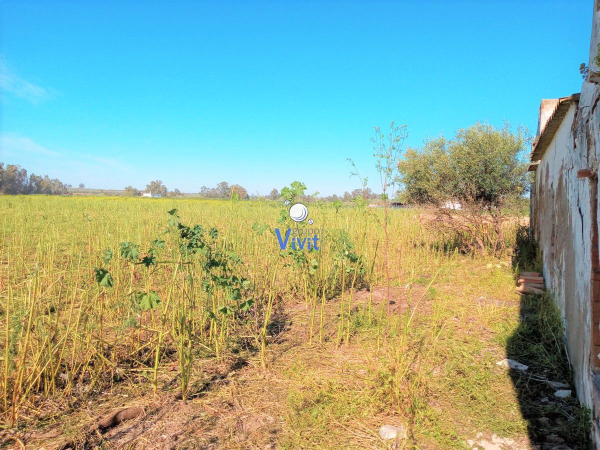 Finca rústica en venda en Mairena del Alcor