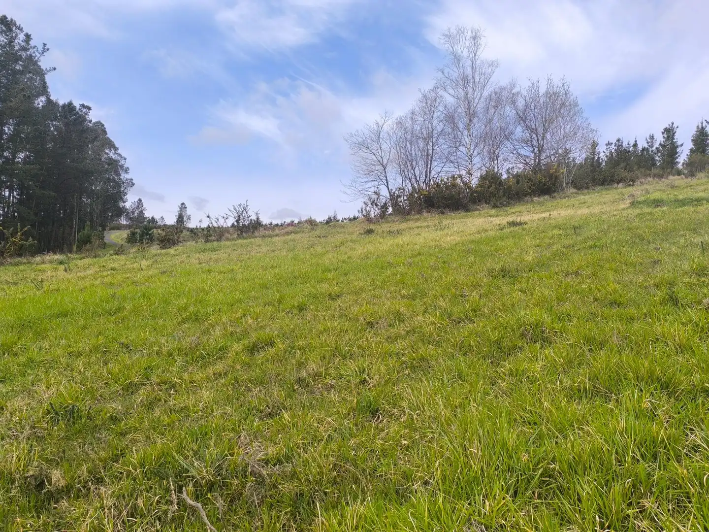Casa o xalet en venda en Palas de Rei amb Jardí privat