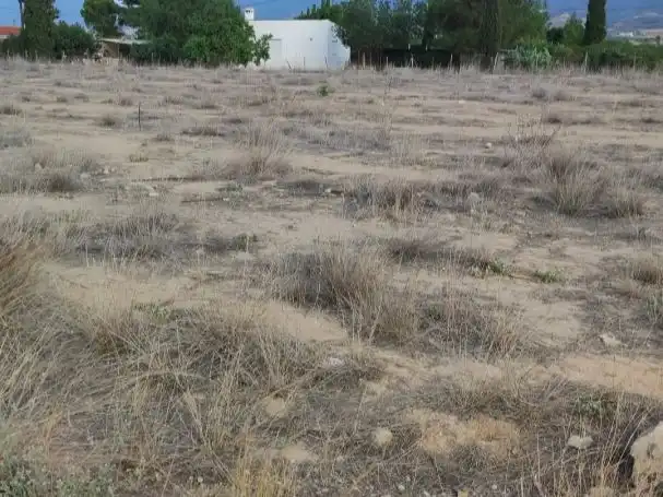Terreny rústic en venda a Diseminado Carretera Lorca 159, imagen 3