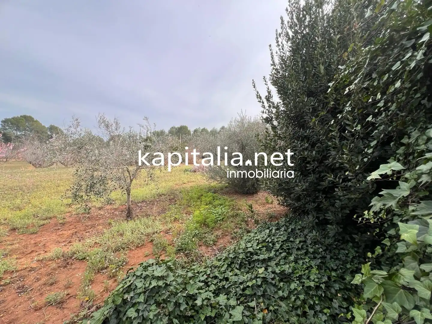 Xalet amb piscina en venda a L'Olleria, imagen 58