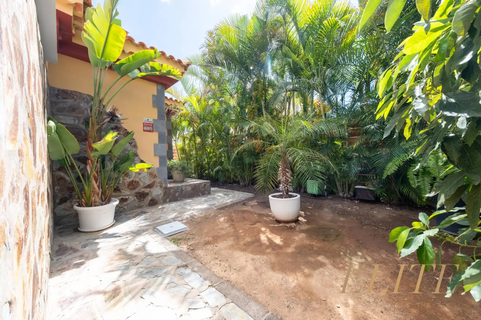 Jardí de Casa o xalet en venda en Salobre Golf