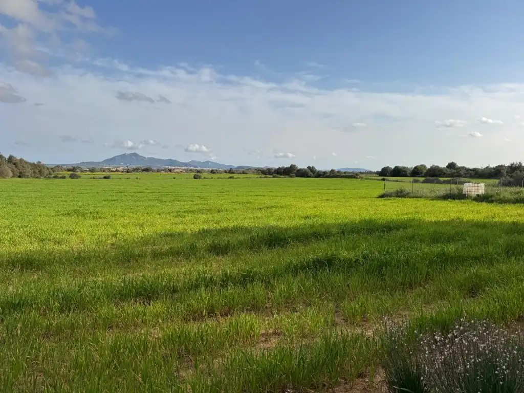 Residential land for sale in S'Horta - Cas Concos des Cavaller - Es Carritxó
