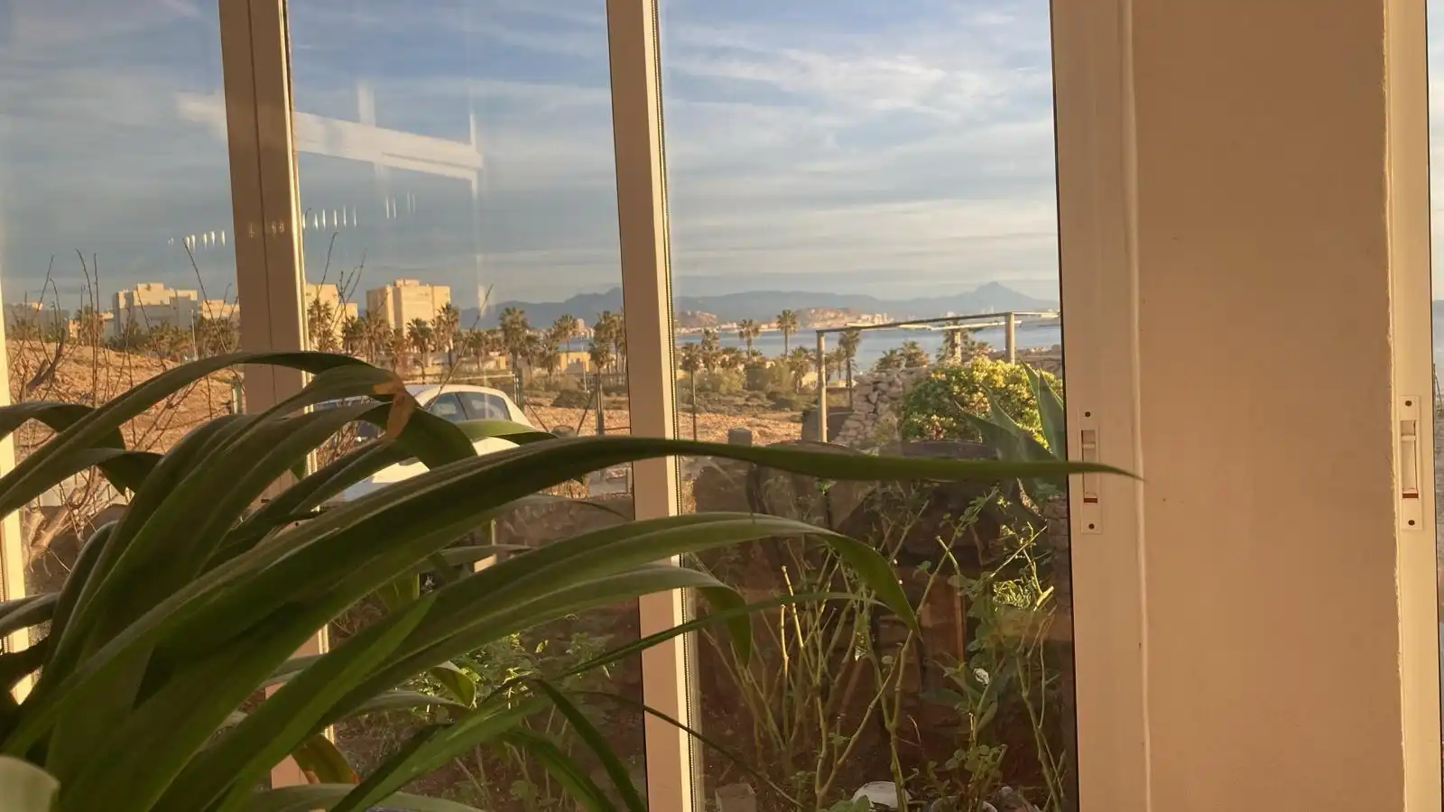 Jardí de Casa o xalet en venda en Alicante / Alacant amb Jardí privat i Terrassa