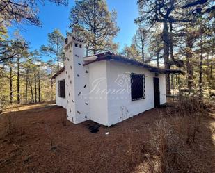 Exterior view of House or chalet for sale in El Paso  with Private garden