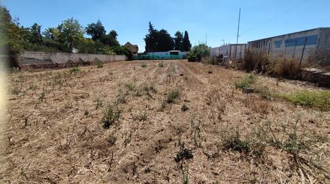 Photo 2 of Residential for sale in De la Jara, La Jara, Cádiz