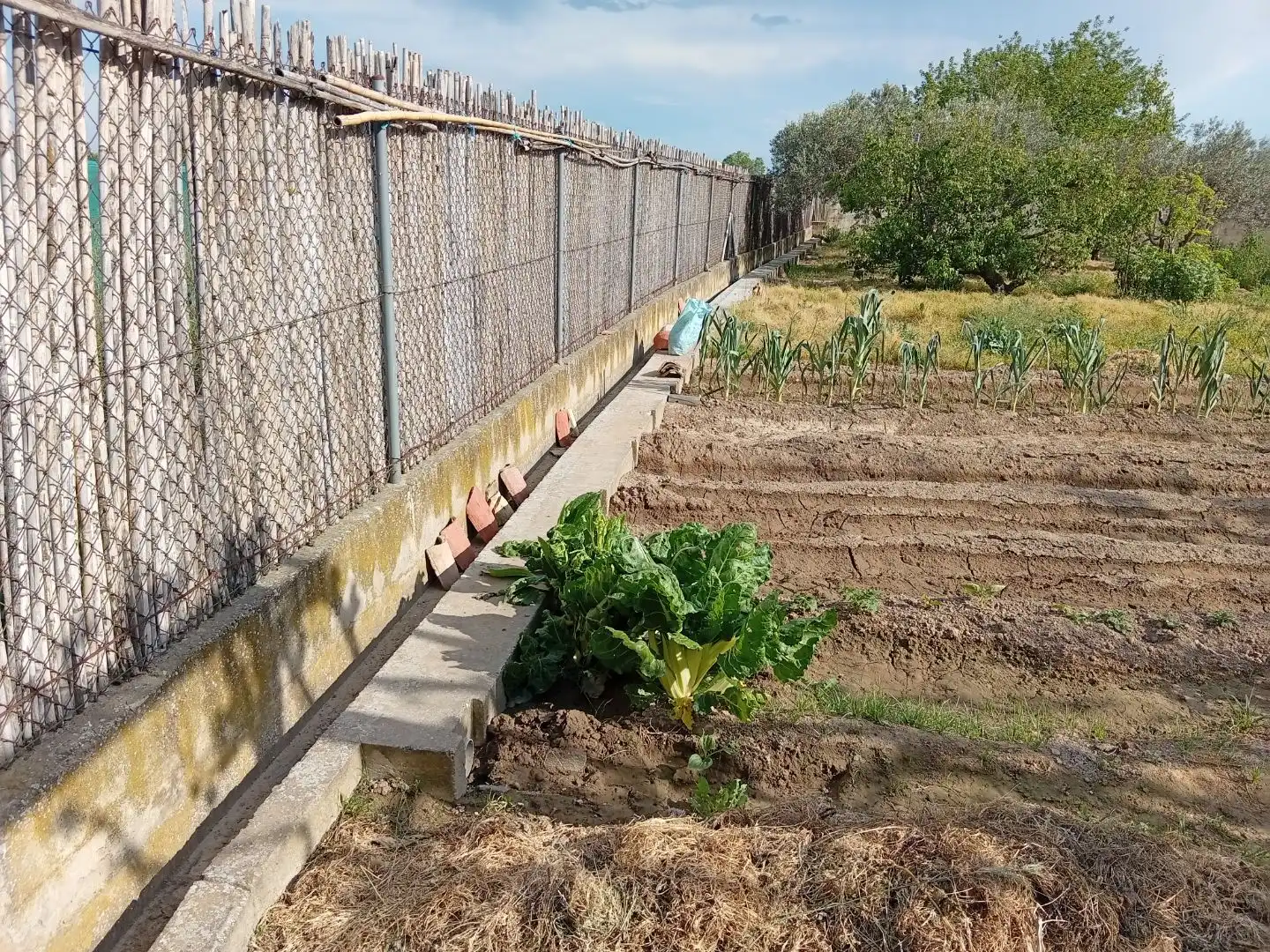 Garten von Grundstücke zum Verkauf in Tudela