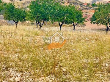 Terreni e lotti in vendita a Abanilla