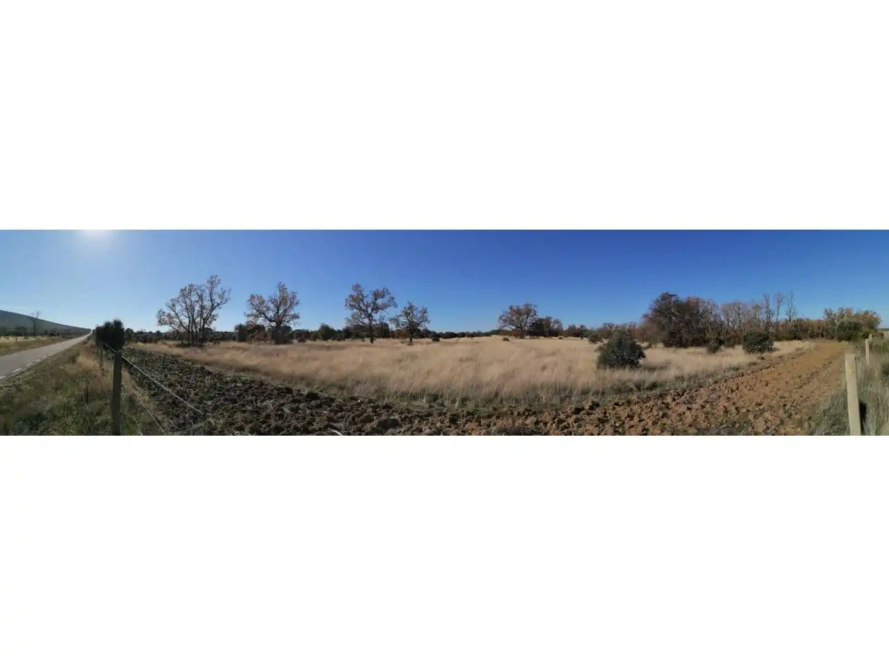 Terreny rústic en venda a Serradilla del Arroyo, imagen 12