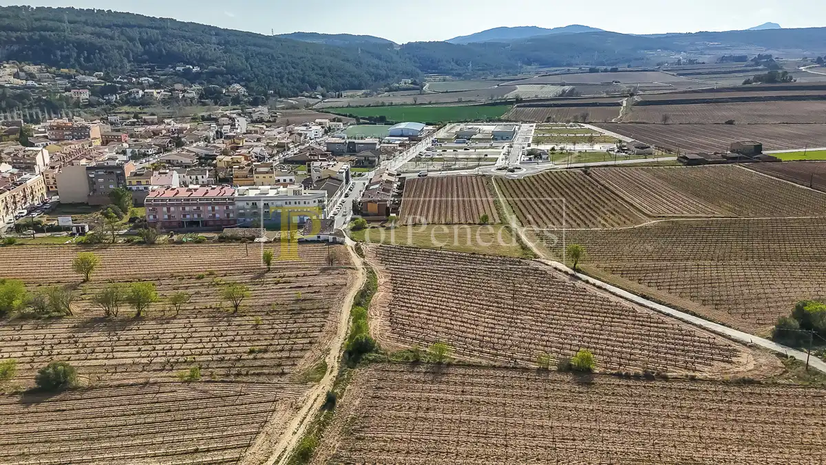 Terreny residencial en venda a Carrer de les Vinyes, imagen 14