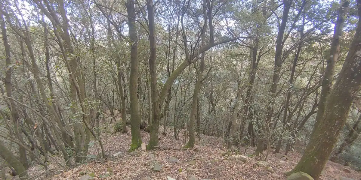 Residencial en venda en Susqueda
