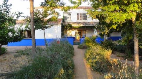 Foto 4 de Finca rústica en venda a Torrenueva, Ciudad Real