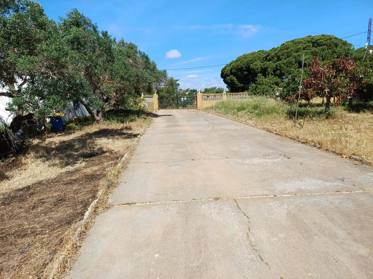 Finca rústica en venta en Isla Cristina con Jardín privado