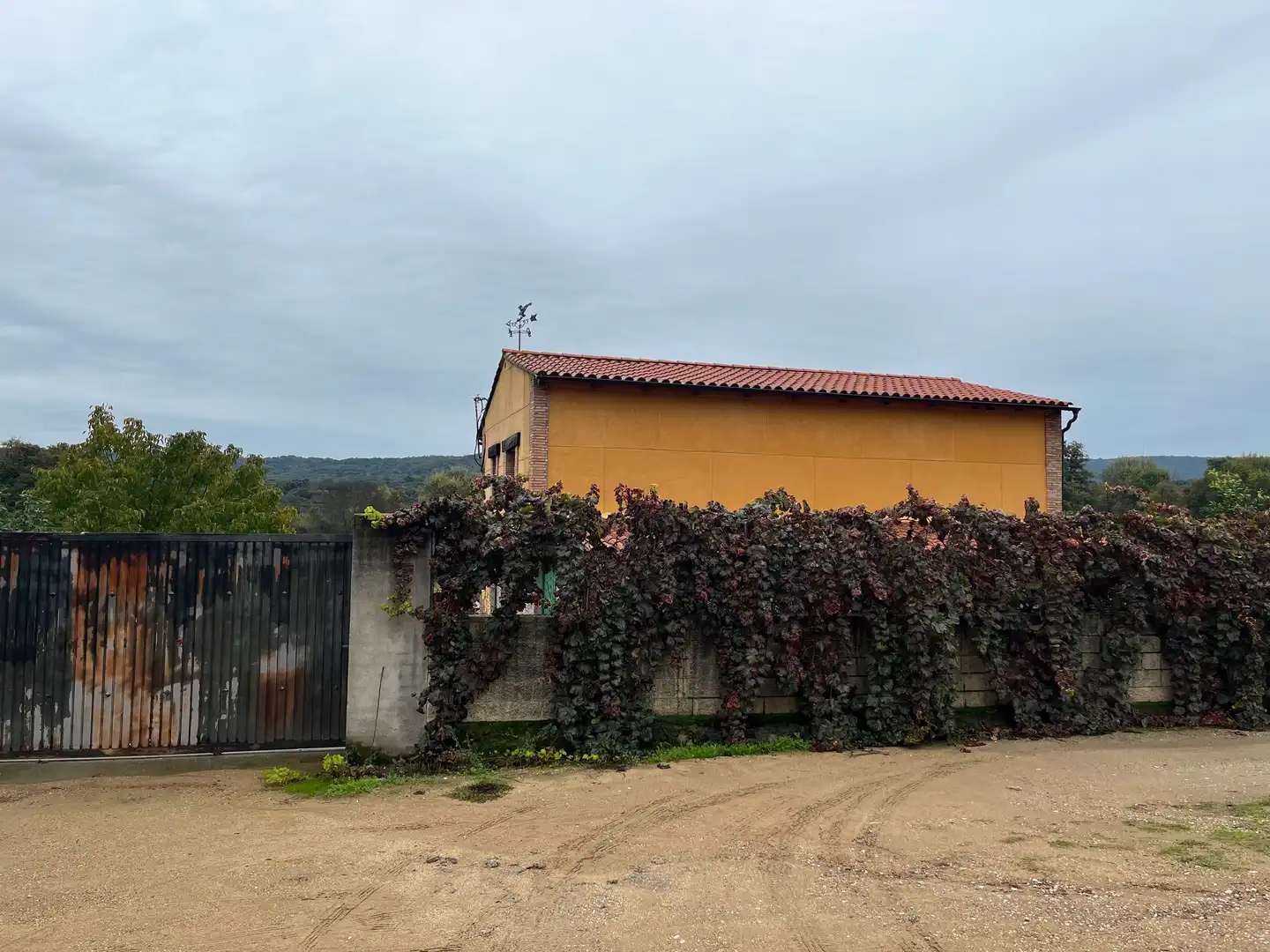 Casa rústica amb piscina en venda a Zona Norte - Hospital - Urbanizaciones, imagen 6