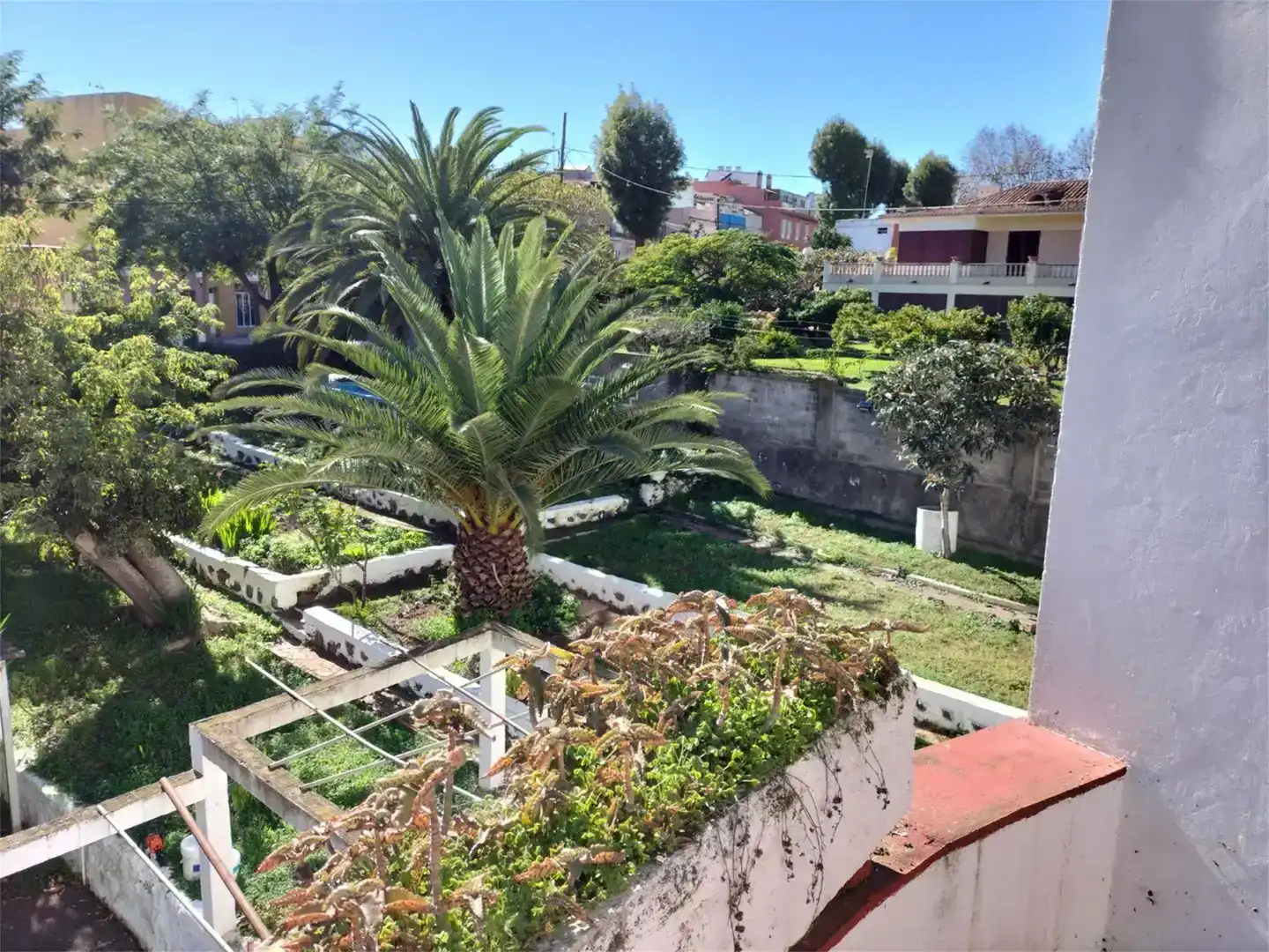 Jardí de Casa o xalet en venda en San Cristóbal de la Laguna amb Balcó