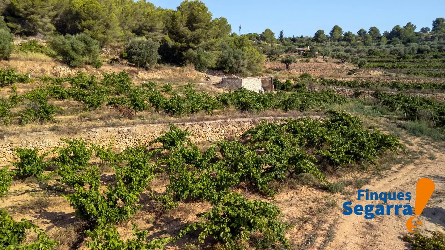 Land for sale in Bonastre, Bonastre