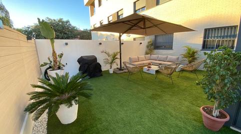 Photo 5 of Planta baja for sale in De la Manzanilla, El Pino - Bajo de Guía, Cádiz