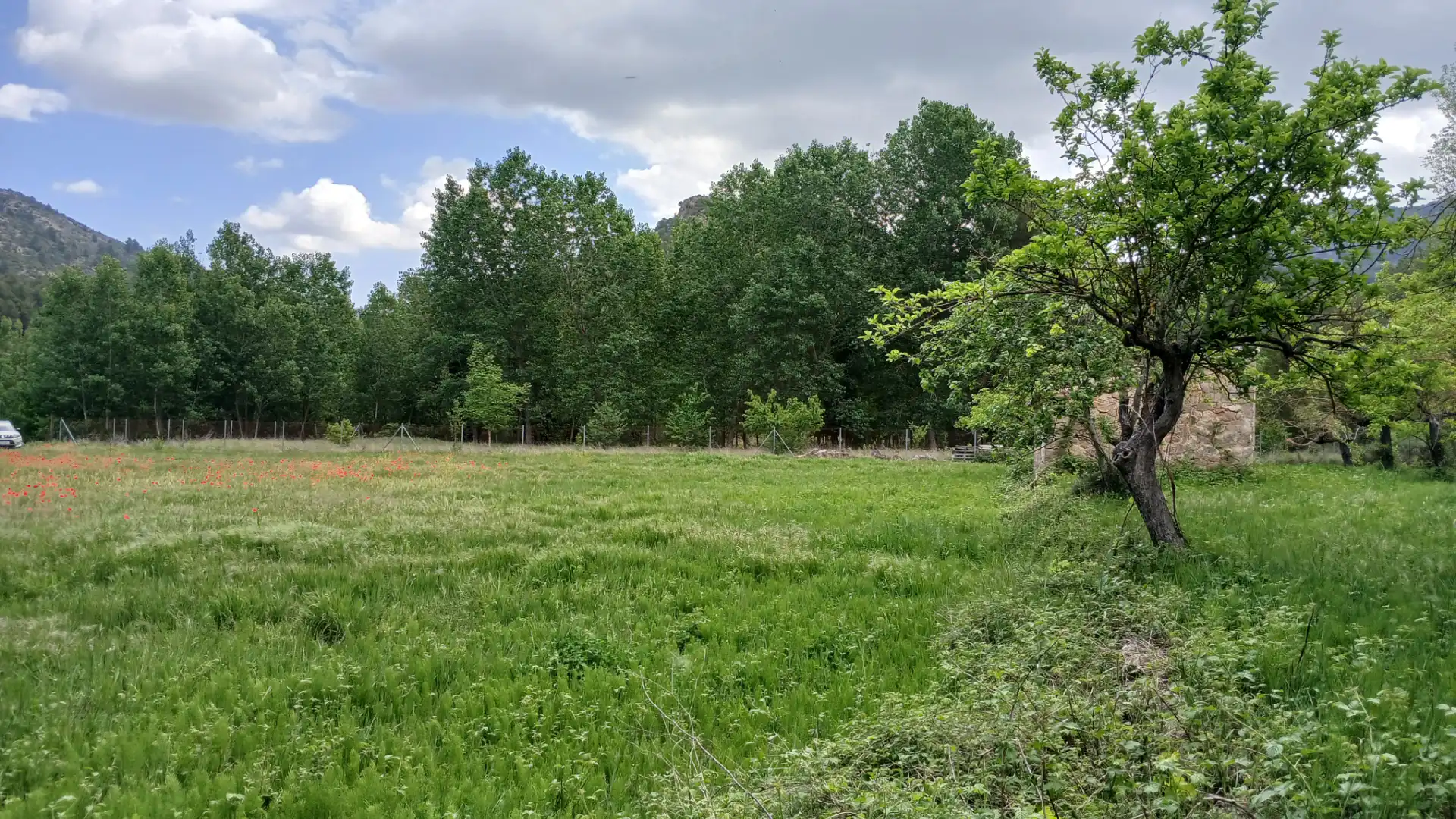 Land for sale in Beceite