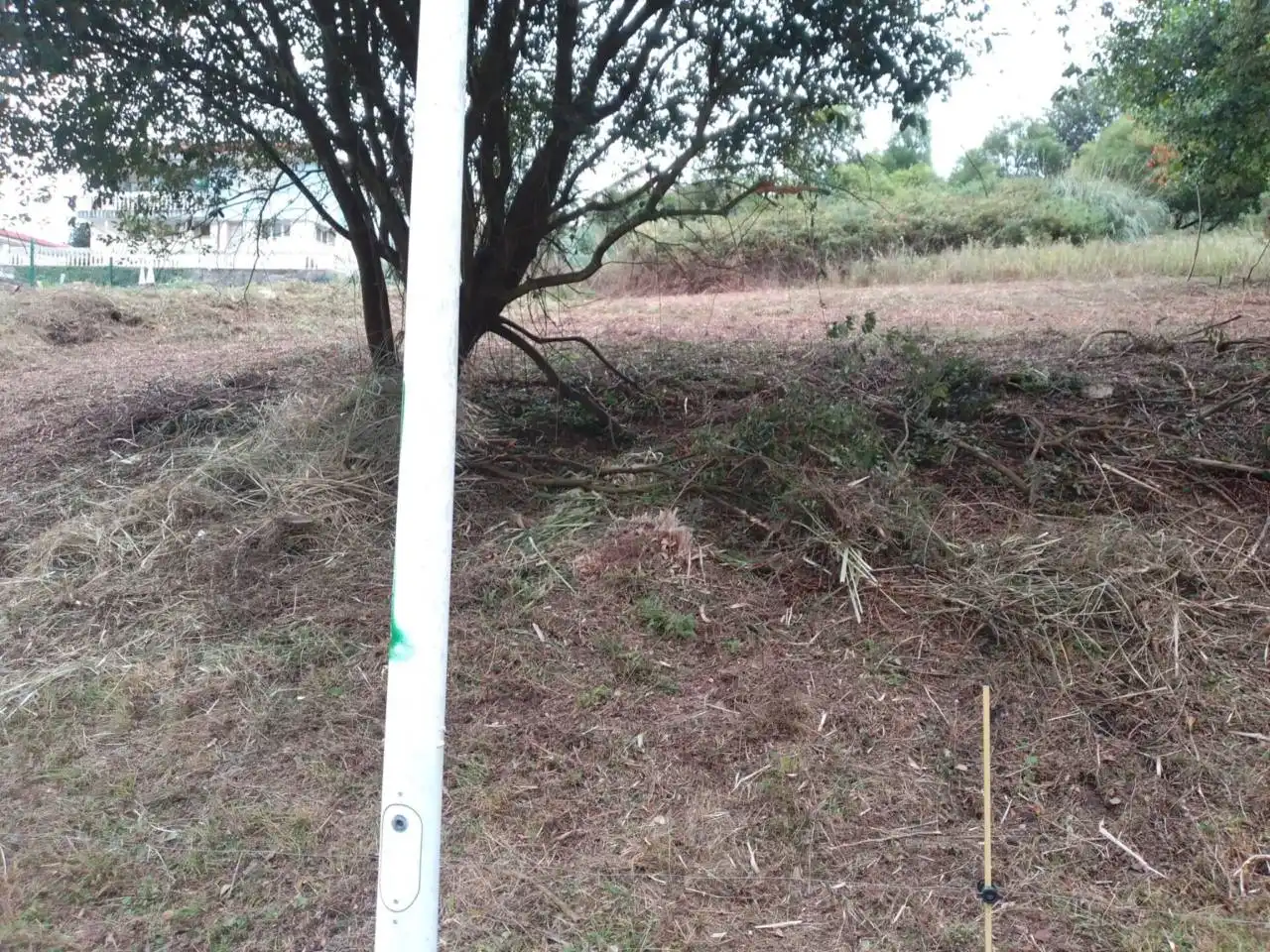 Terreni e lotti in vendita a Meruelo, imagen 6