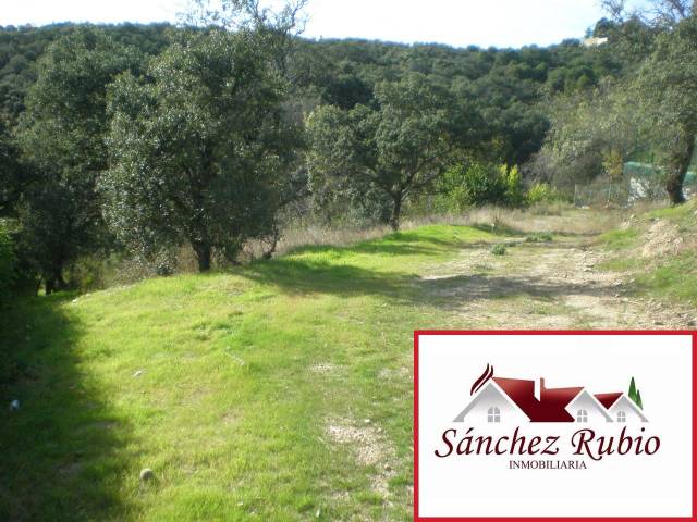 Terreno residencial en Venta en El Peñalar - Arroyo de Trofas - Montealegre