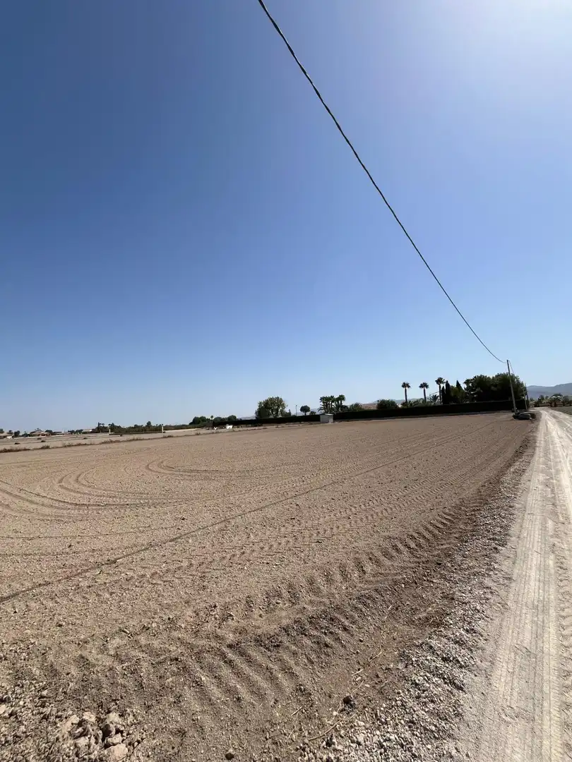 Terreno rustico in vendita a Carretera CAMPILLO, imagen 13