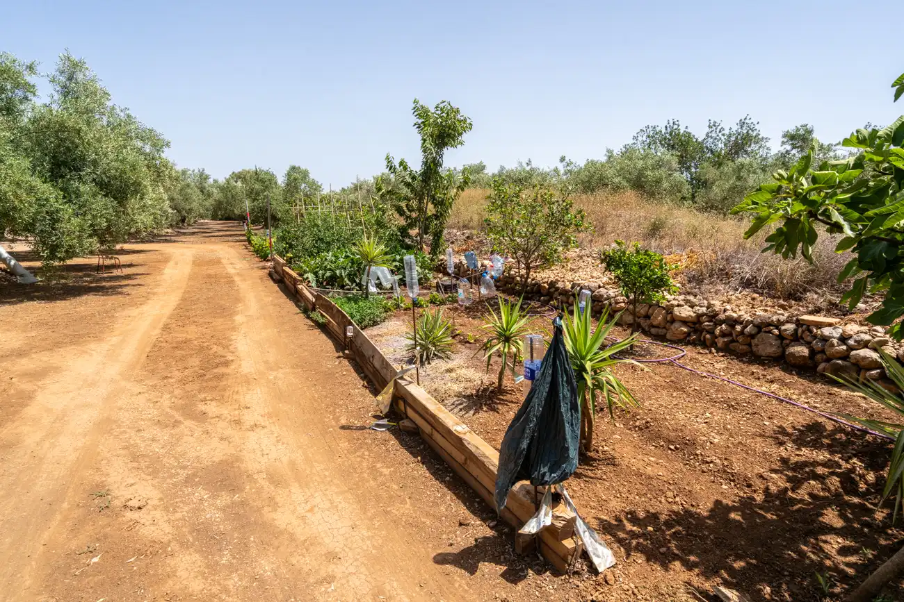 Terreny rústic en venda a Camí Miliana 1, imagen 27