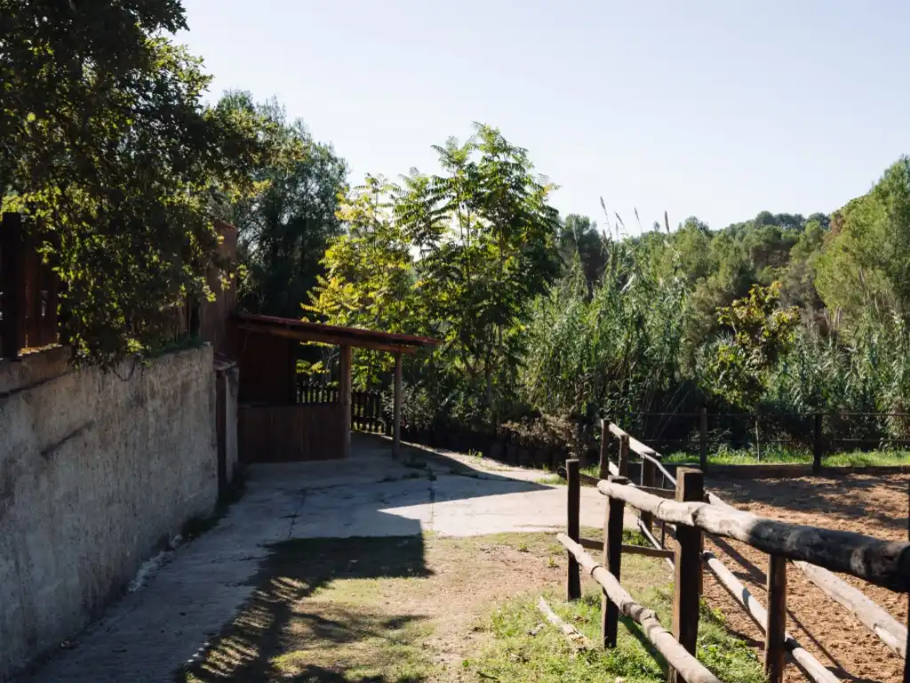 Country homes for sale in Rubí