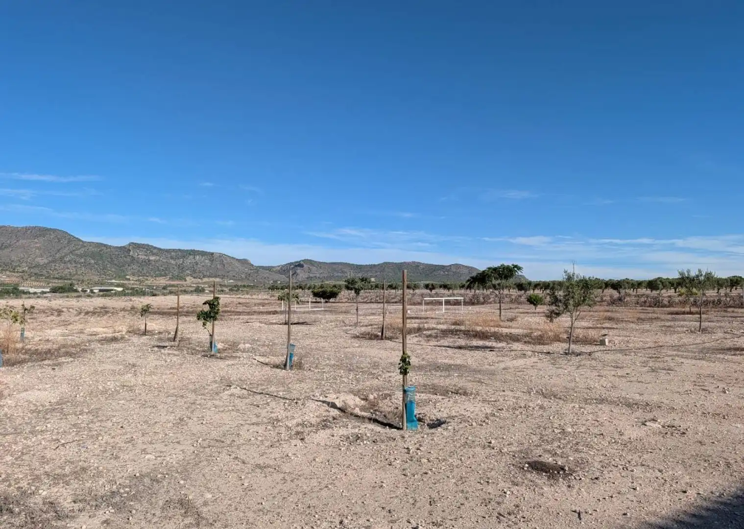 Country house for sale in Salinas, imagen 9