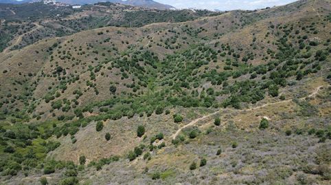Foto 4 de Terreno en venta en Urbanización Cerrado de Elviria, Marbella, Spain, Elviria, Marbella