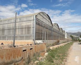 Exterior view of Industrial buildings for sale in Castellón de la Plana / Castelló de la Plana