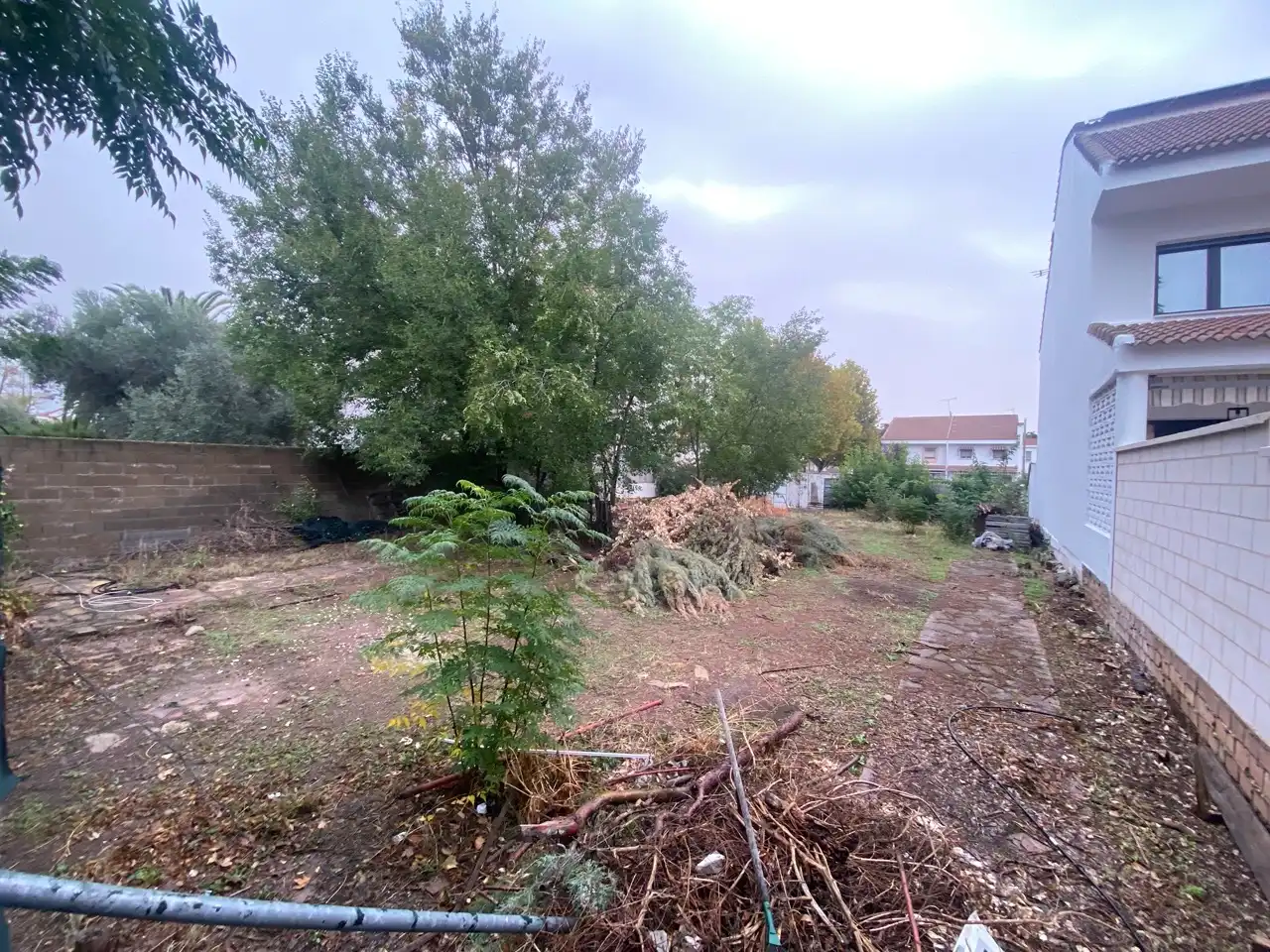 Terreny residencial en venda a Calle Olmos, imagen 2