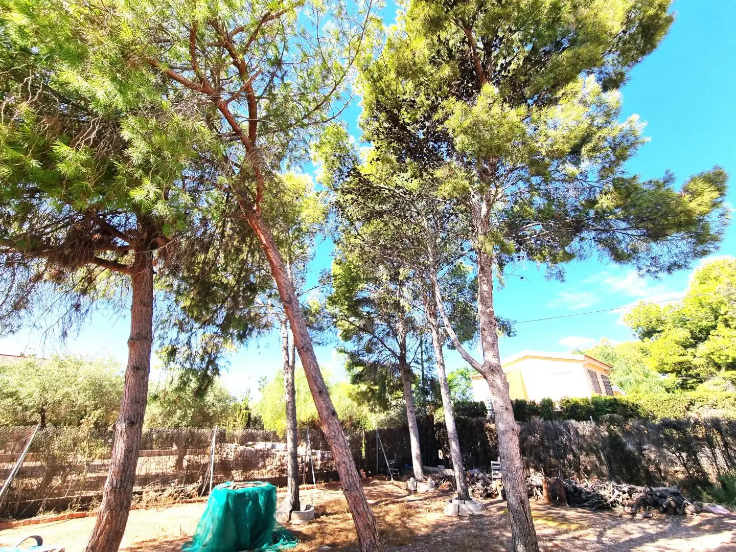 Houses for sale in Partida Boqueres, Villamontes - Boqueres