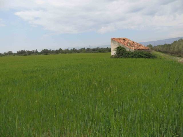 Terreno en Venta en Camí Miliana, 1 en Ulldecona