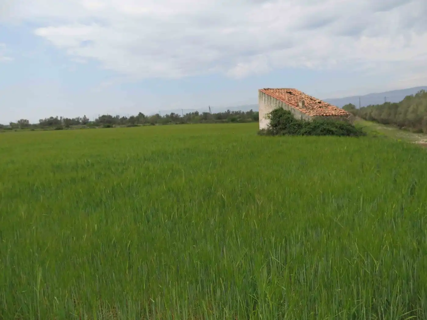 Rustikales Grundstück zum Verkauf in Camí Miliana 1