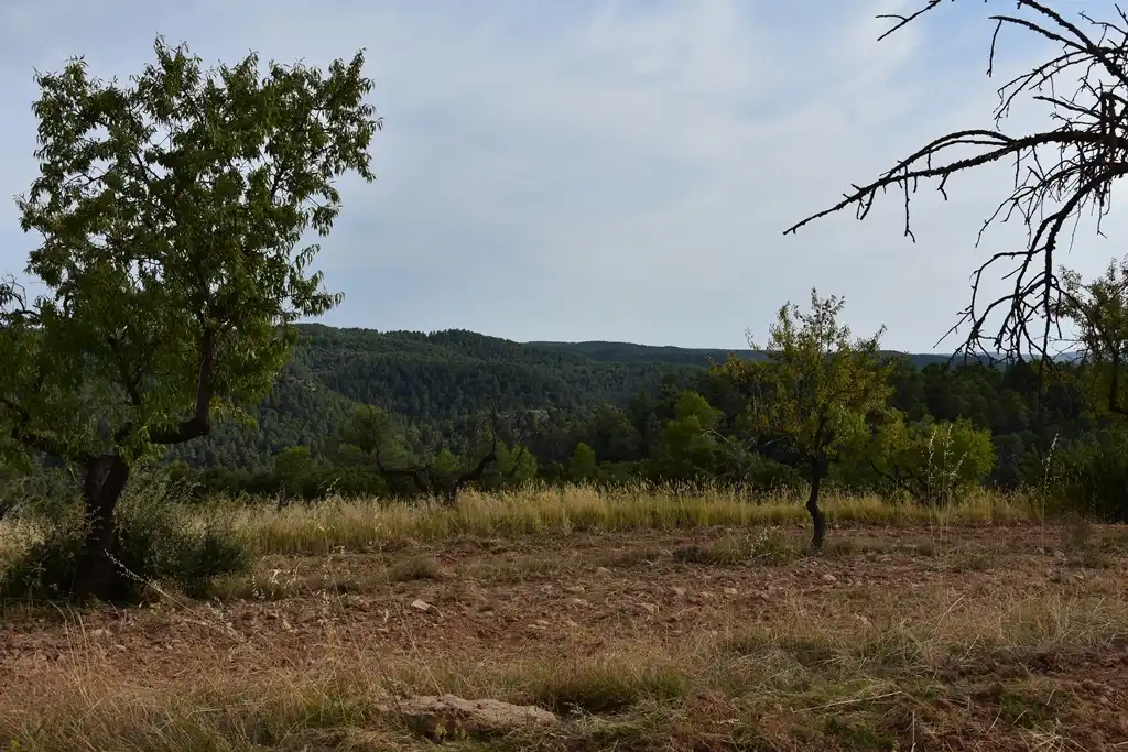 Terreni e lotti in vendita a La Fresneda, imagen 6