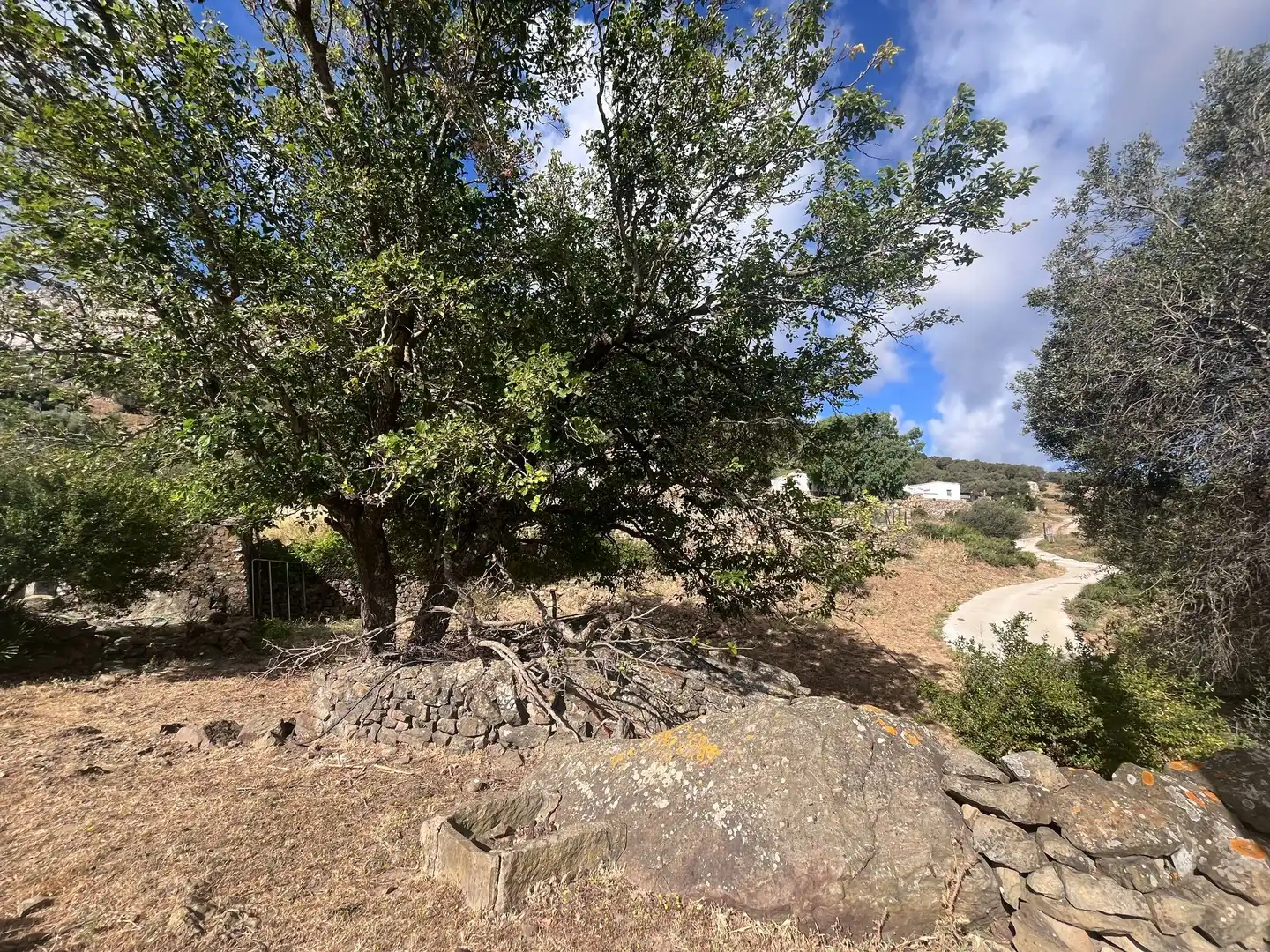 Finca rústica en venta en Tarifa con Jardín privado y Trastero