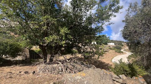 Foto 2 de Finca rústica en venta en Facinas, Tarifa