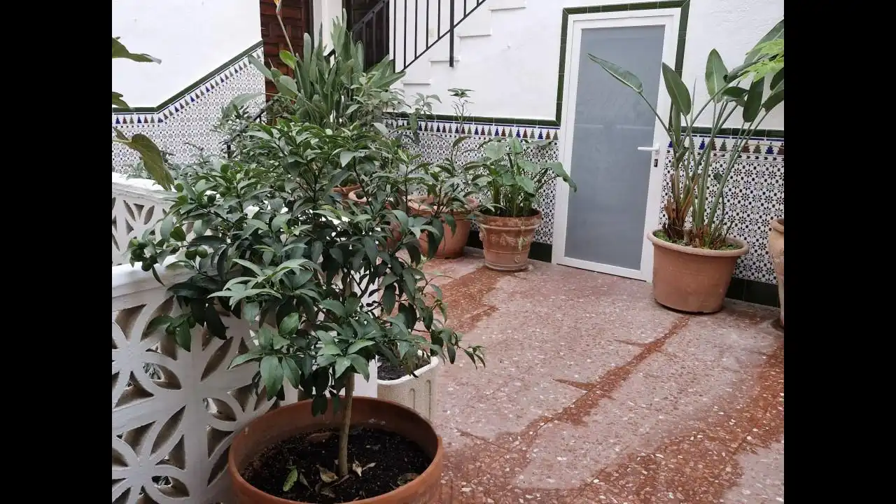 Inmuebles singulares en venta en Europa, imagen 13