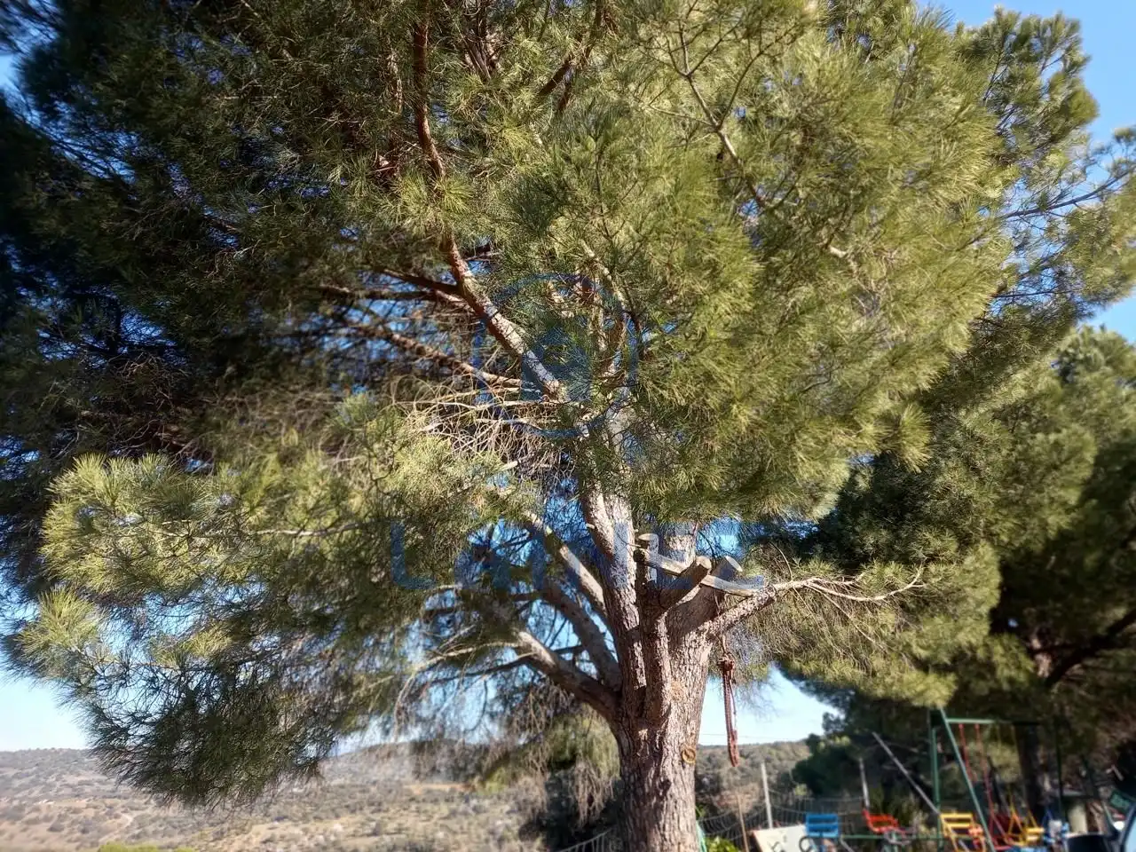Terreno residenziale in vendita a Villanueva del Rey, imagen 59